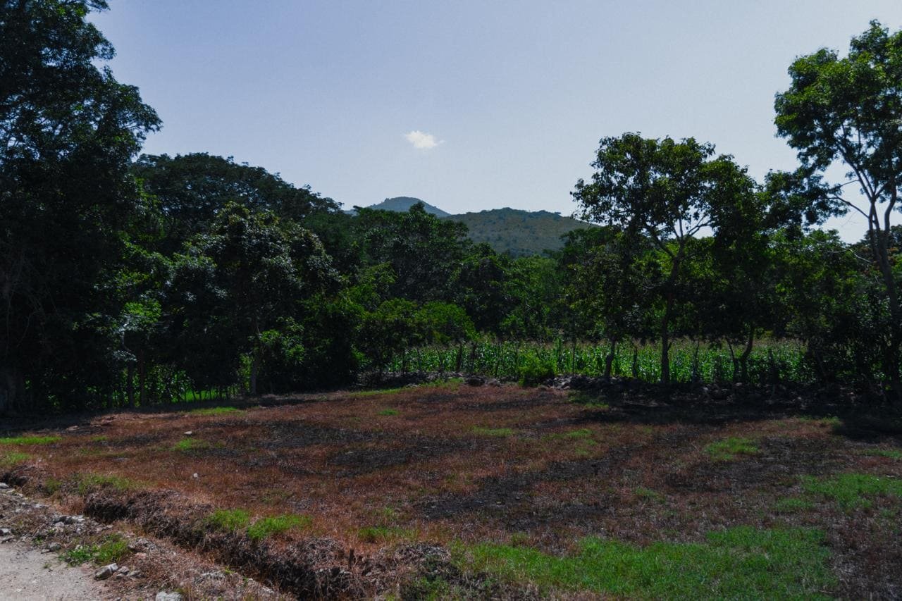 Lote con vegetación y vista a la montaña