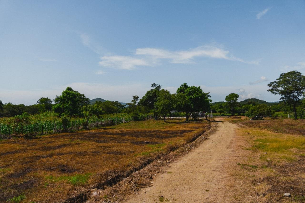 Camino curvo con lotes y paisaje abierto