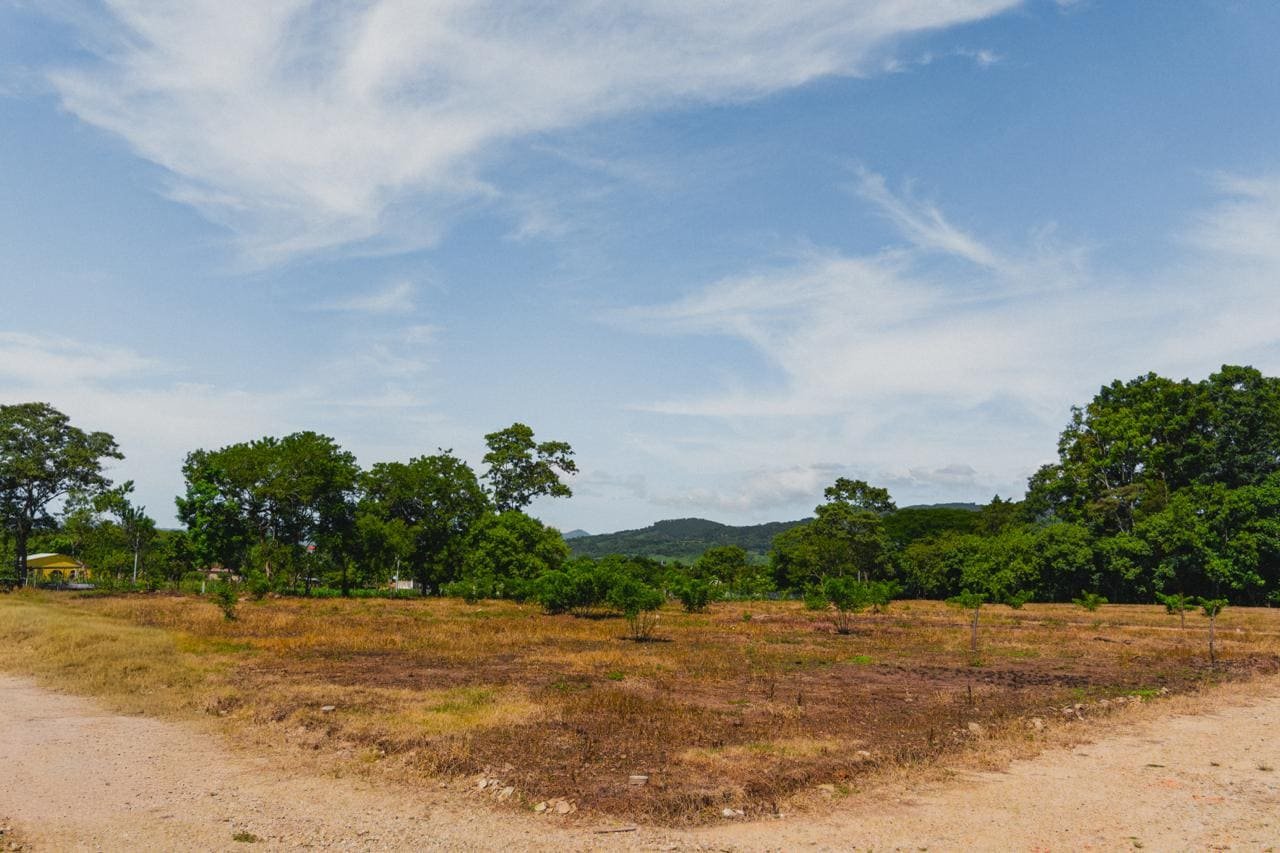 Vista panorámica amplia de los lotes con árboles y cielo
