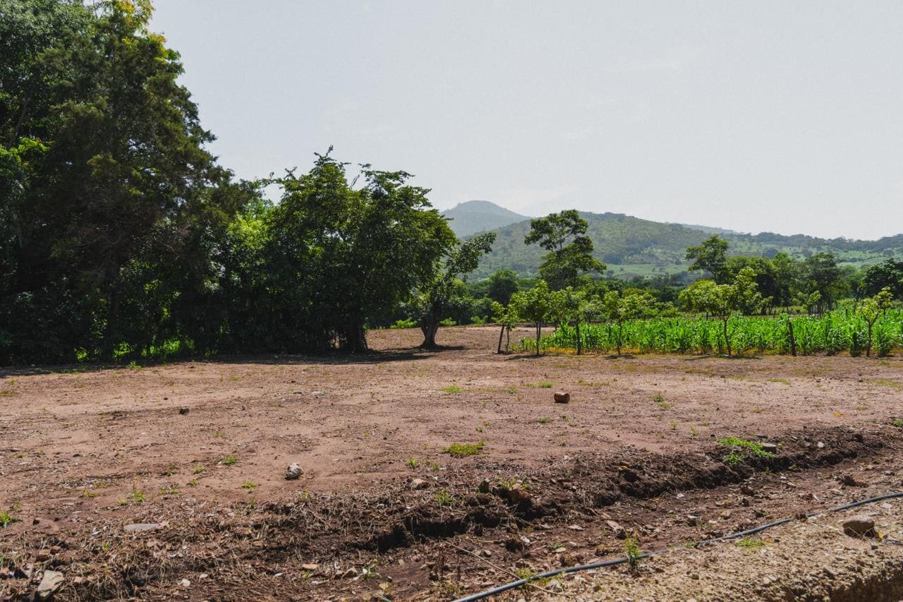Lote listo para construir con vista directa a la montaña verde