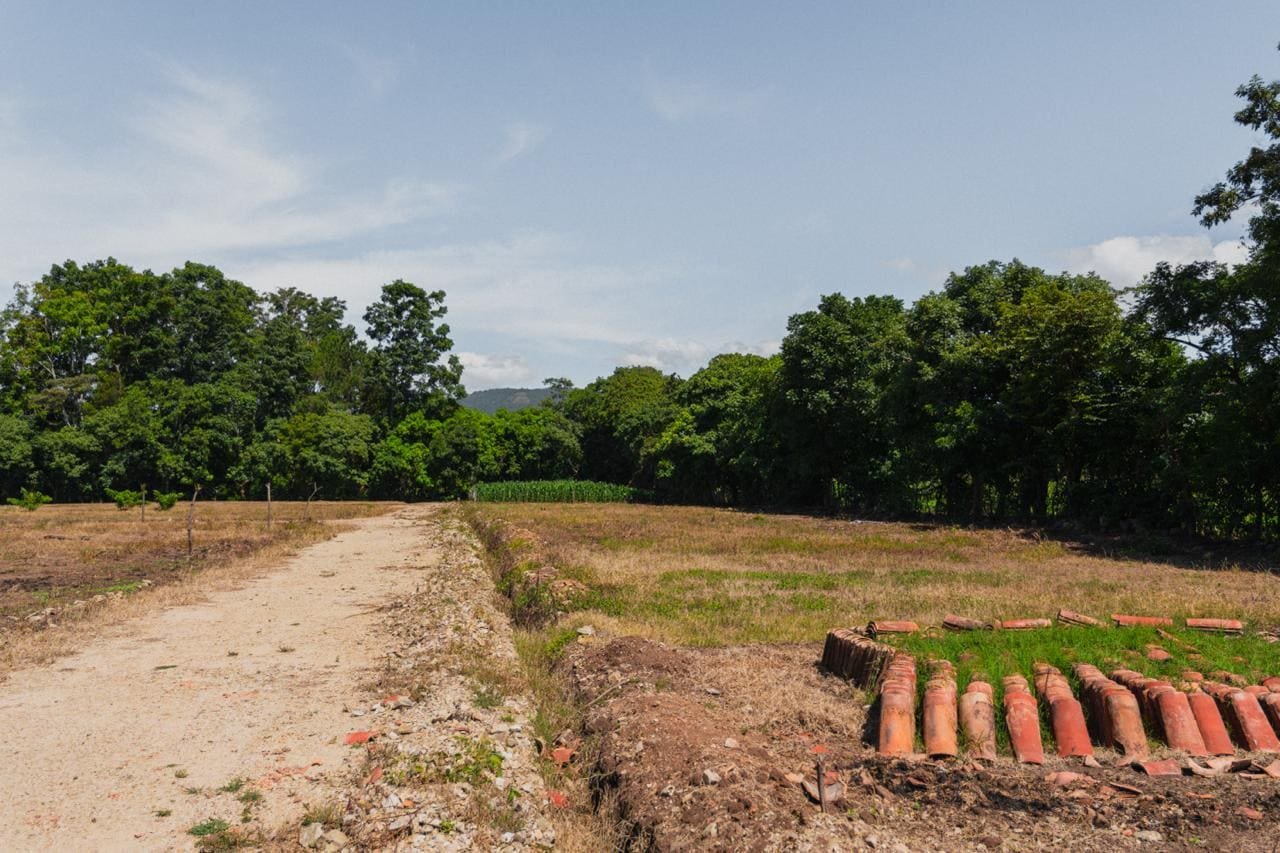 Camino de acceso con materiales de construcción